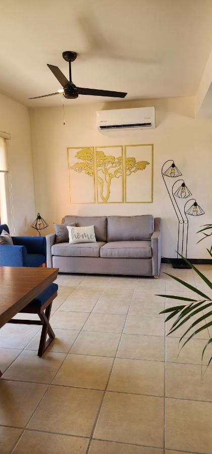 Suites Lomboy & Plaza San José del Cabo エクステリア 写真