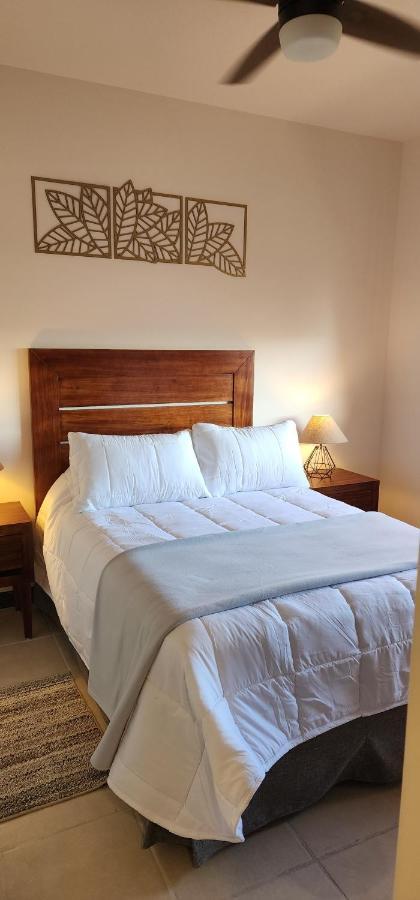 Suites Lomboy & Plaza San José del Cabo エクステリア 写真